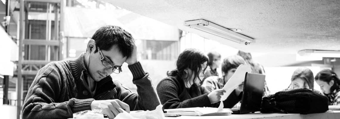 IMG: Students researching essay in library